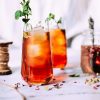 Photo by Food Photographer | Jennifer Pallian red liquid with ice and plant